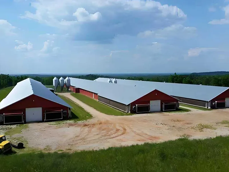 steel structure poultry house