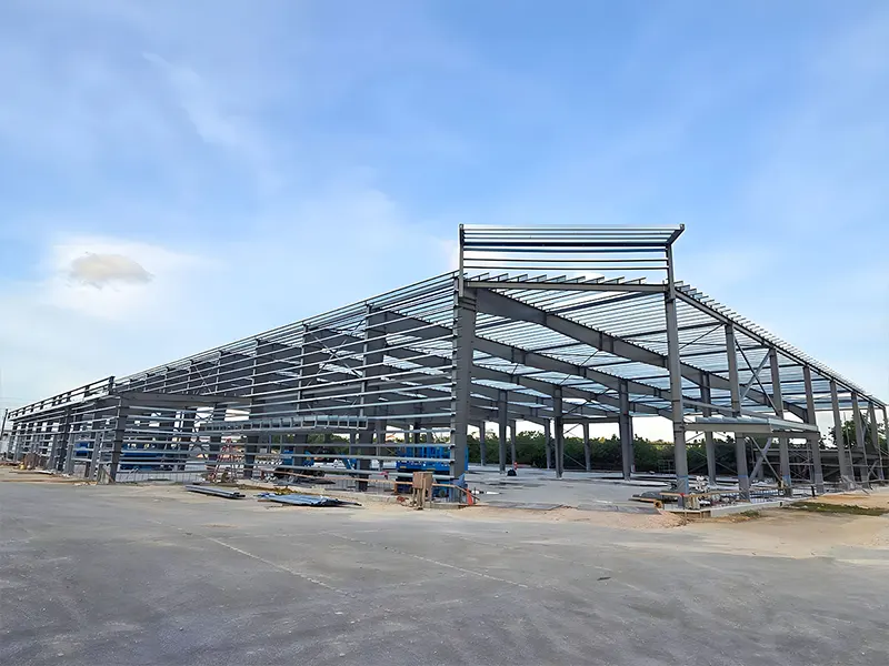 supermarket steel structure (1)